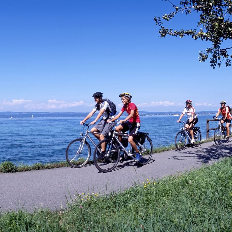BERLINGEN TG, BODENSEE Vier Velofahrer radeln auf einer Strasse dem Bodenseeufer entlang bei einem strahlend Blauen Sommerhimmel.